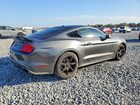 2019 Ford Mustang Gray vin: 1FA6P8TH3K5167082