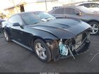 2021 Ford Mustang Ecoboost Fastback Black vin: 1FA6P8TH5M5127931
