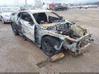 2023 Ford Mustang Ecoboost Premium Fastback Gray vin: 1FA6P8TH5P5100877