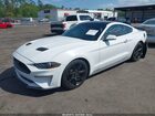 2020 Ford Mustang Ecoboost Fastback White vin: 1FA6P8TH6L5114765