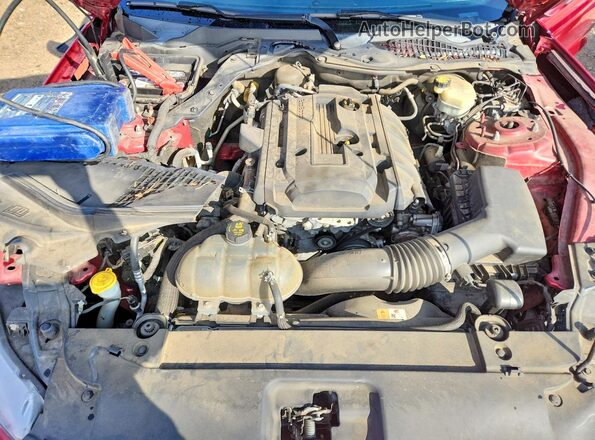 1FA6P8TH7H5224490 2017 FORD MUSTANG Красный Вид задней части салона