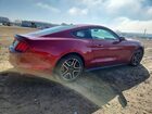 2017 Ford Mustang Красный vin: 1FA6P8TH7H5224490