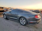 2019 Ford Mustang Gray vin: 1FA6P8TH7K5153086 2019 Ford Mustang Gray vin: 1FA6P8TH7K5153086