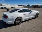 2019 Ford Mustang Белый vin: 1FA6P8TH7K5175668