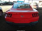 2024 Ford Mustang Ecoboost Premium Fastback Красный vin: 1FA6P8TH9R5120925