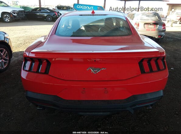 1FA6P8TH9R5120925 2024 FORD MUSTANG Красный 