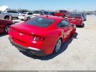 2026 Ford Mustang Ecoboost Fastback Красный vin: 1FA6P8TH9T5108572