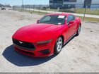 2026 Ford Mustang Ecoboost Fastback Красный vin: 1FA6P8TH9T5108572