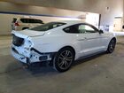 2017 Ford Mustang Белый vin: 1FA6P8THXH5293075