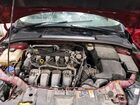 2017 Ford Focus Красный vin: 1FADP3F2XHL231091