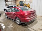 2017 Ford Focus Красный vin: 1FADP3F2XHL231091