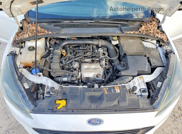 1FADP3FE7HL276502 2017 FORD FOCUS Белый Вид задней части салона