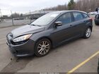 2016 Ford Focus Se Gray vin: 1FADP3K25GL348341