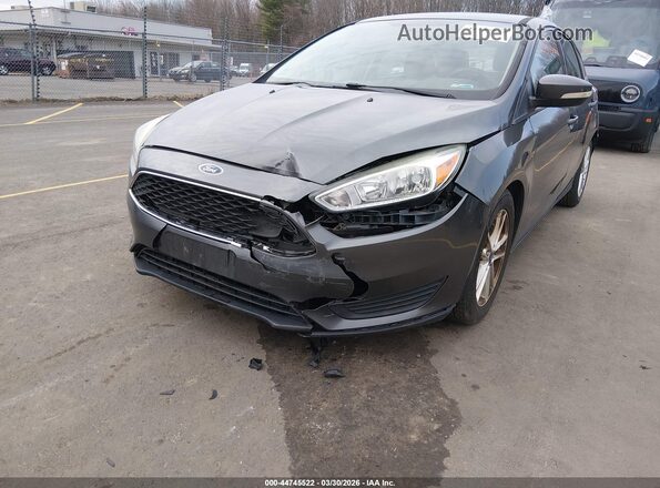 1FADP3K25GL348341 2016 FORD FOCUS Gray Widok z przodu