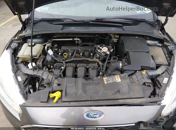 1FADP3K25GL348341 2016 FORD FOCUS Gray Widok z tyłu