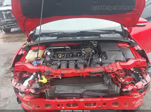 1FADP3K26GL215250 2016 FORD FOCUS Red Widok z tyłu