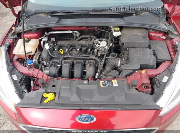 1FADP3K2XHL286100 2017 FORD FOCUS Красный Вид сзади