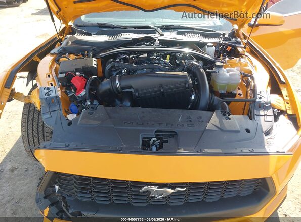 1FAGP8UH8T5108968 2026 FORD MUSTANG Оранжевый Вид сзади