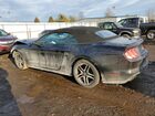 2019 Ford Mustang Gt Black vin: 1FATP8FF1K5104706 2019 Ford Mustang Gt Black vin: 1FATP8FF1K5104706