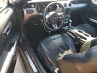 2020 Ford Mustang Серый vin: 1FATP8UH0L5137833
