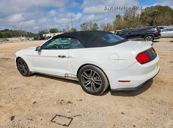 1FATP8UH1H5204592 2017 FORD MUSTANG Белый Задняя левая четверть