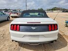 2017 Ford Mustang Белый vin: 1FATP8UH1H5204592
