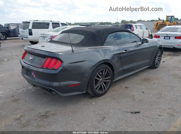 1FATP8UH1H5295265 2017 FORD MUSTANG Серый Задняя правая четверть