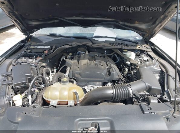 1FATP8UH1H5295265 2017 FORD MUSTANG Серый Вид сзади