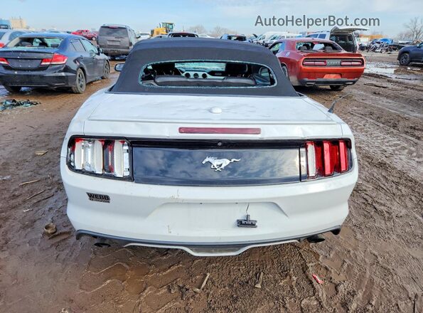 1FATP8UH2H5218081 2017 FORD MUSTANG White Widok z tyłu