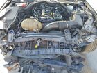 2021 Ford Mustang Black vin: 1FATP8UH2M5111509