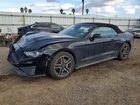 2023 Ford Mustang Black vin: 1FATP8UH3P5100569