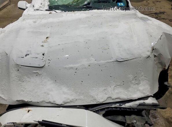 1FATP8UH4L5134384 2020 FORD MUSTANG White Vista interior trasera