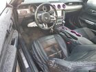 2019 Ford Mustang Black vin: 1FATP8UH8K5148769