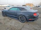 2019 Ford Mustang Black vin: 1FATP8UH8K5148769