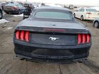 2019 Ford Mustang Black vin: 1FATP8UH8K5148769