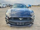 2020 Ford Mustang Black vin: 1FATP8UH8L5113196