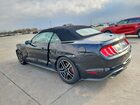 2020 Ford Mustang Black vin: 1FATP8UH8L5113196