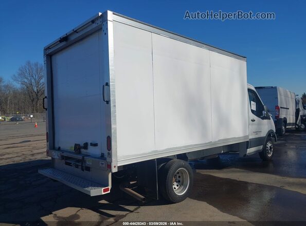 1FDBF6ZG3PKA09876 2023 FORD TRANSIT-350 White უკანა მარჯვენა