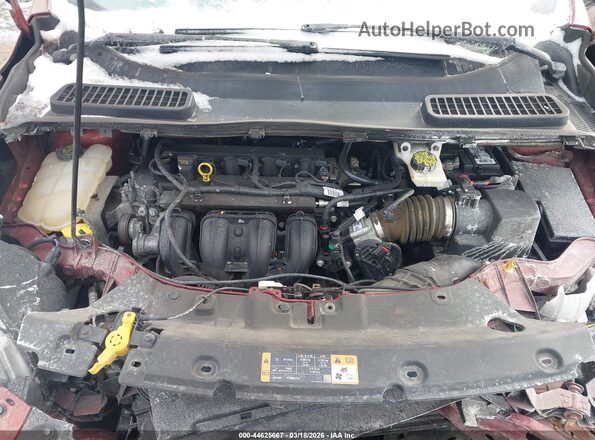 1FMCU0F75GUB13513 2016 FORD ESCAPE Красный Вид сзади