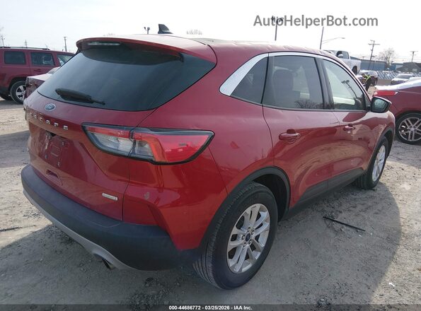 1FMCU0G64LUC19256 2020 FORD ESCAPE Red Задня права чверть