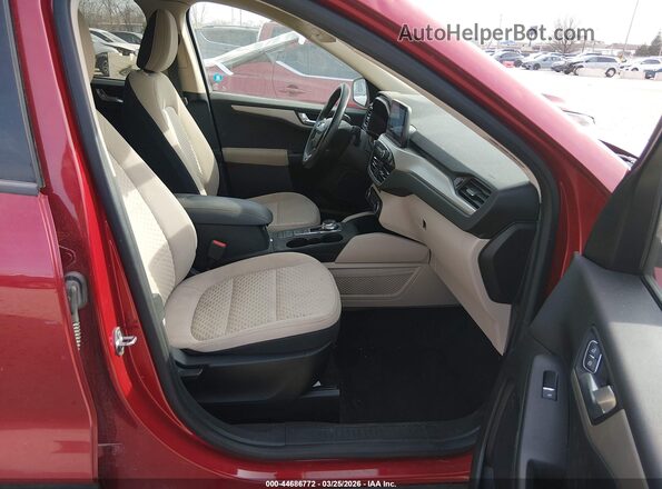 1FMCU0G64LUC19256 2020 FORD ESCAPE Red Вид салону спереду