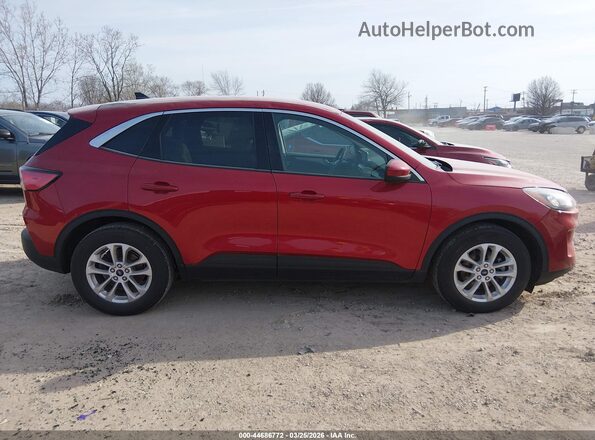 1FMCU0G64LUC19256 2020 FORD ESCAPE Red Вид задньої частини салону