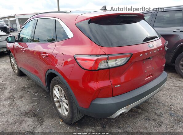 1FMCU0G68LUB93101 2020 FORD ESCAPE Burgundy Задня ліва чверть