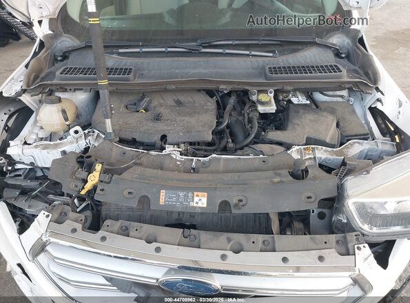 1FMCU0GD2HUE96686 2017 FORD ESCAPE White Widok z tyłu