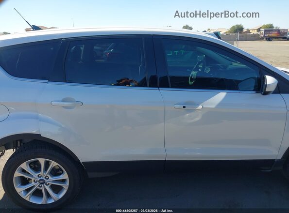 1FMCU0GD5KUB62563 2019 FORD ESCAPE White Rear interior view