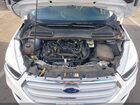 2019 Ford Escape Se White vin: 1FMCU0GD5KUB62563