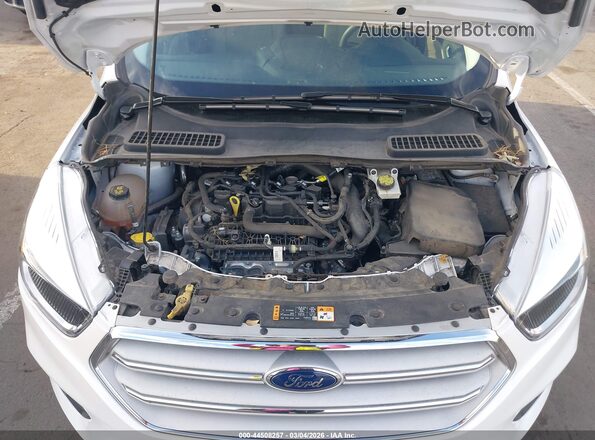 1FMCU0GD5KUB62563 2019 FORD ESCAPE White Rear view
