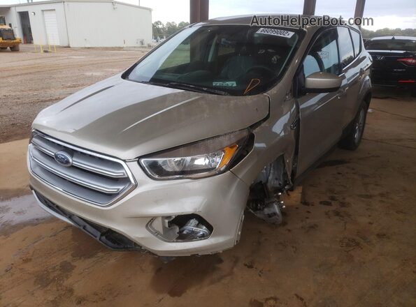 1FMCU0GD9HUE91405 2017 FORD ESCAPE Beige Tył lewy