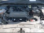 2024 Ford Escape Active Синий vin: 1FMCU0GN2RUB21293