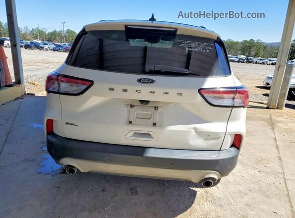 1FMCU0H63LUB48808 2020 FORD ESCAPE Белый Вид сзади